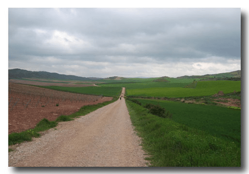 Camino